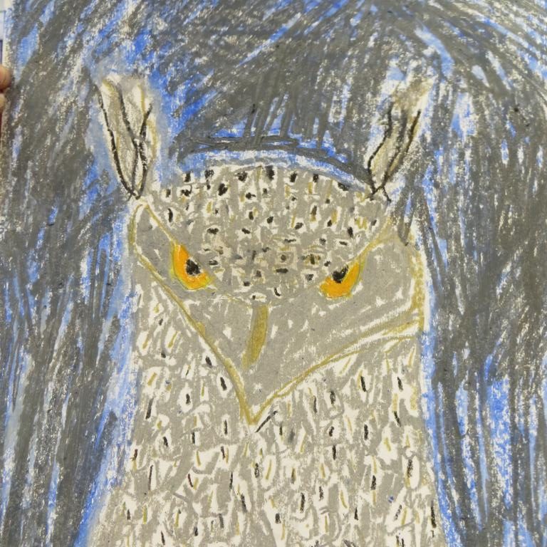 Y3&4 Oil pastel owls