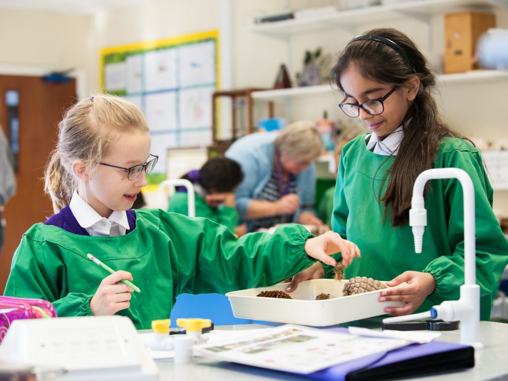 girls working together in the science classroom
