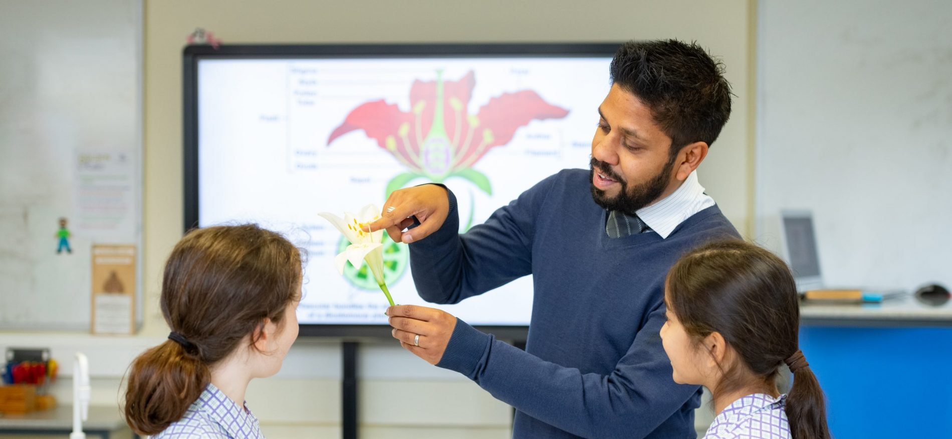 A teacher shows 2 students the different parts of a flower