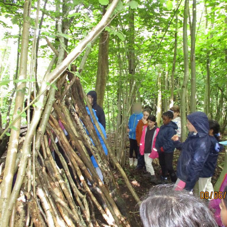 A group of students looking at a campsite made with branches